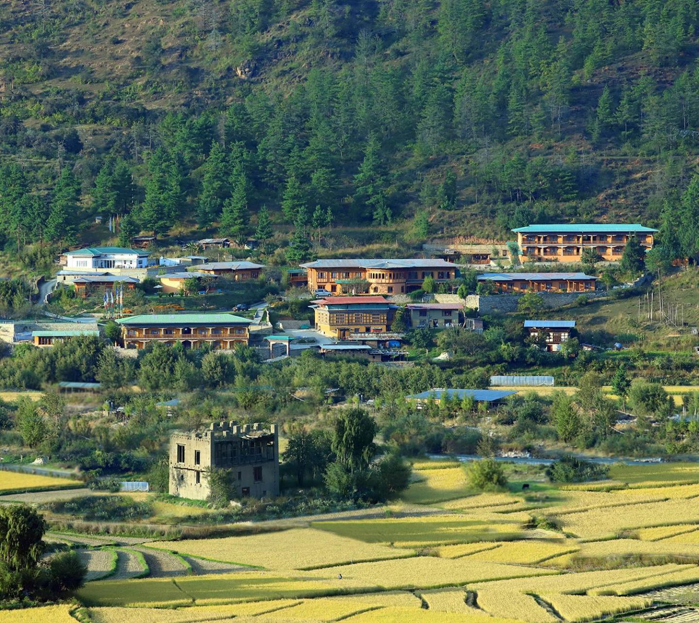 Rema Resort Paro Exterior photo